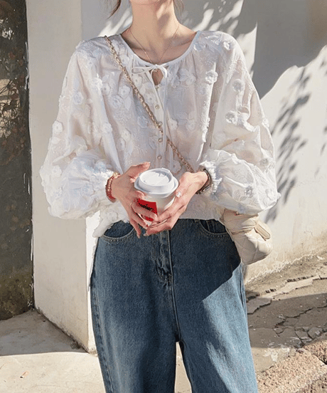 embroidered sheer blouse　hm2928