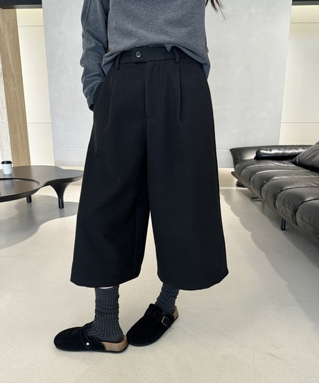 stylish wide leg pants / 2color　hm2704