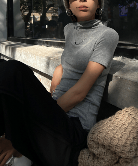 high neck short sleeve top / 2color　hm1256