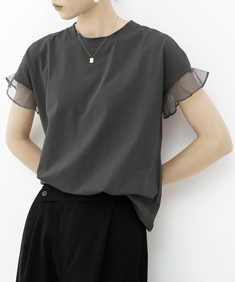 sheer sleeve top / 6color　hm2959