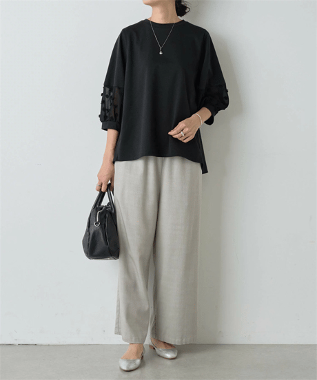 sheer sleeve top / 2color　hm2983