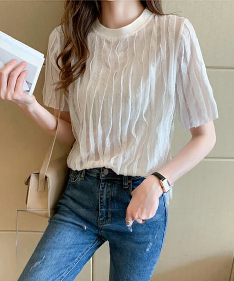 sheer pleated top / 2color　hm2969