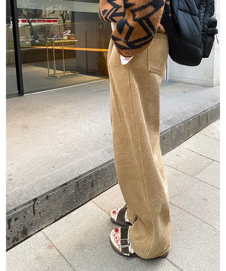 velvet wide pants / 2color　hm1013