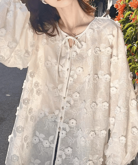 embroidered sheer blouse　hm2928