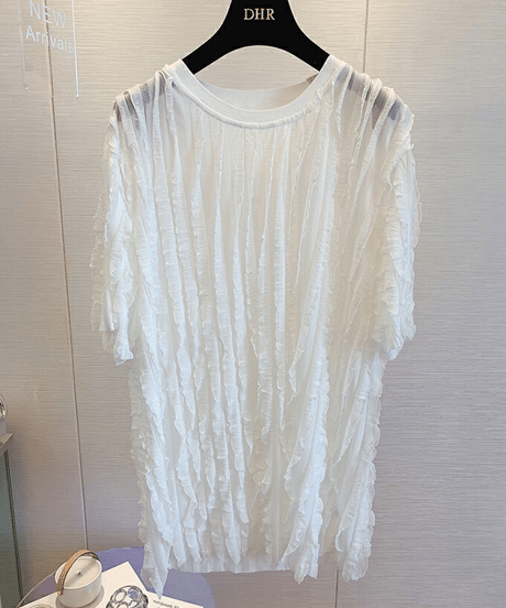 sheer pleated top / 2color　hm2969