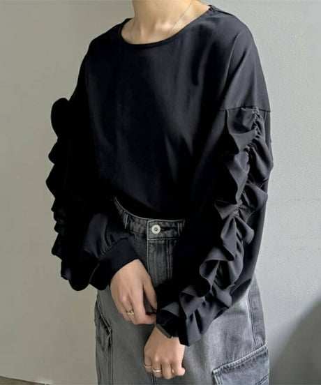 ruffle sleeve pullover / 2color　hm2658