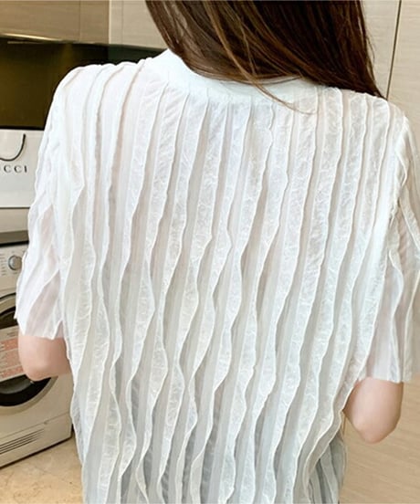 sheer pleated top / 2color　hm2969