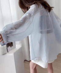 striped sheer shirt / 3color　hm2889