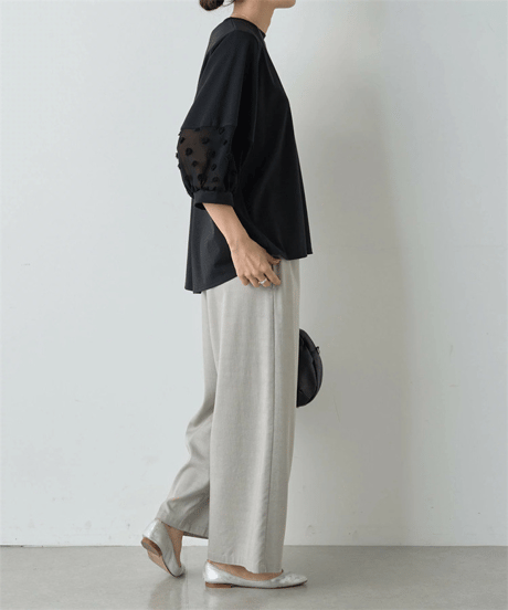 sheer sleeve top / 2color　hm2983