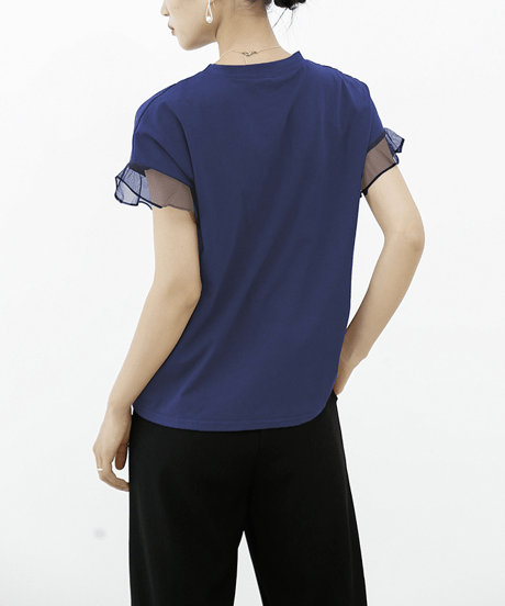 sheer sleeve top / 6color　hm2959
