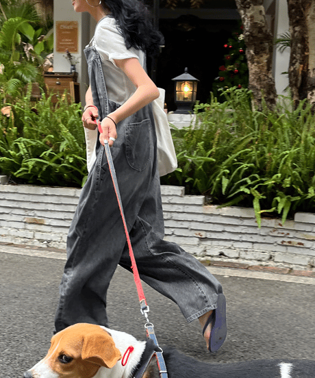 tuck denim overall / 2color　hm1277