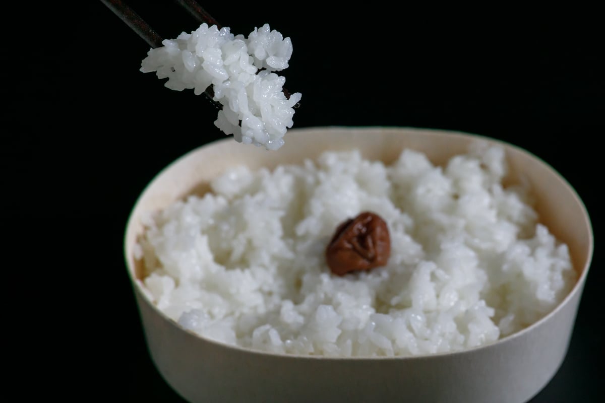 令和7年 純一米 栽培期間中農薬・化学肥料不使用 玄米 5kg!! | SOLARC