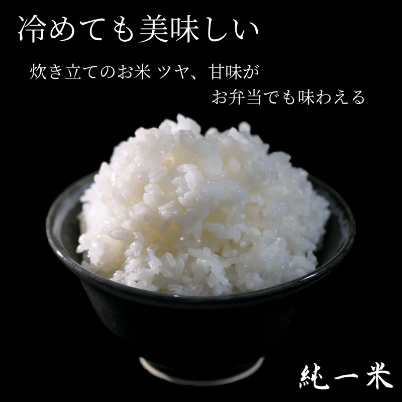 純一米 10kg 令和6年産 新米!! | SOLARC 純一米 10kg 令和6年産 新米!! | SOLARC