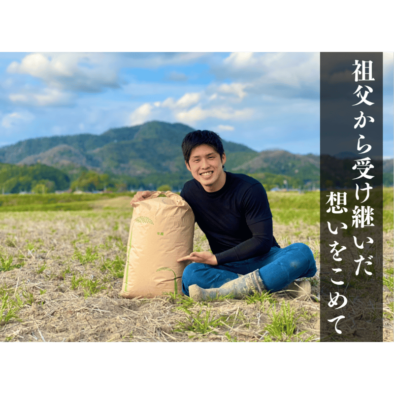 純一米 5kg 令和6年産 新米!! | SOLARC 純一米 5kg 令和6年産 新米!! | SOLARC