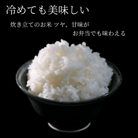 ・【定期便】純一米　5kg　玄米　令和7年産　新米!!