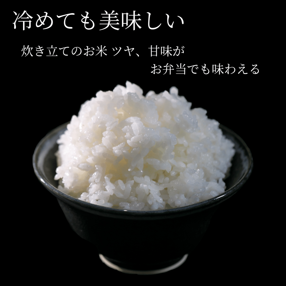 68136ea2e6bd95dcb8b35c6b
