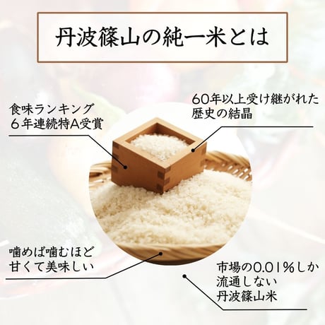 純一米玄米　10kg　令和7年産　新米!!