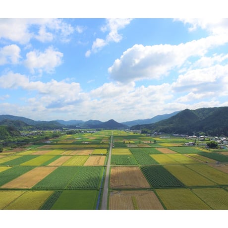 純一米　玄米　5kg　令和7年産　新米!!