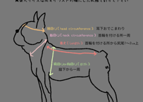 SIZEの図り方表記