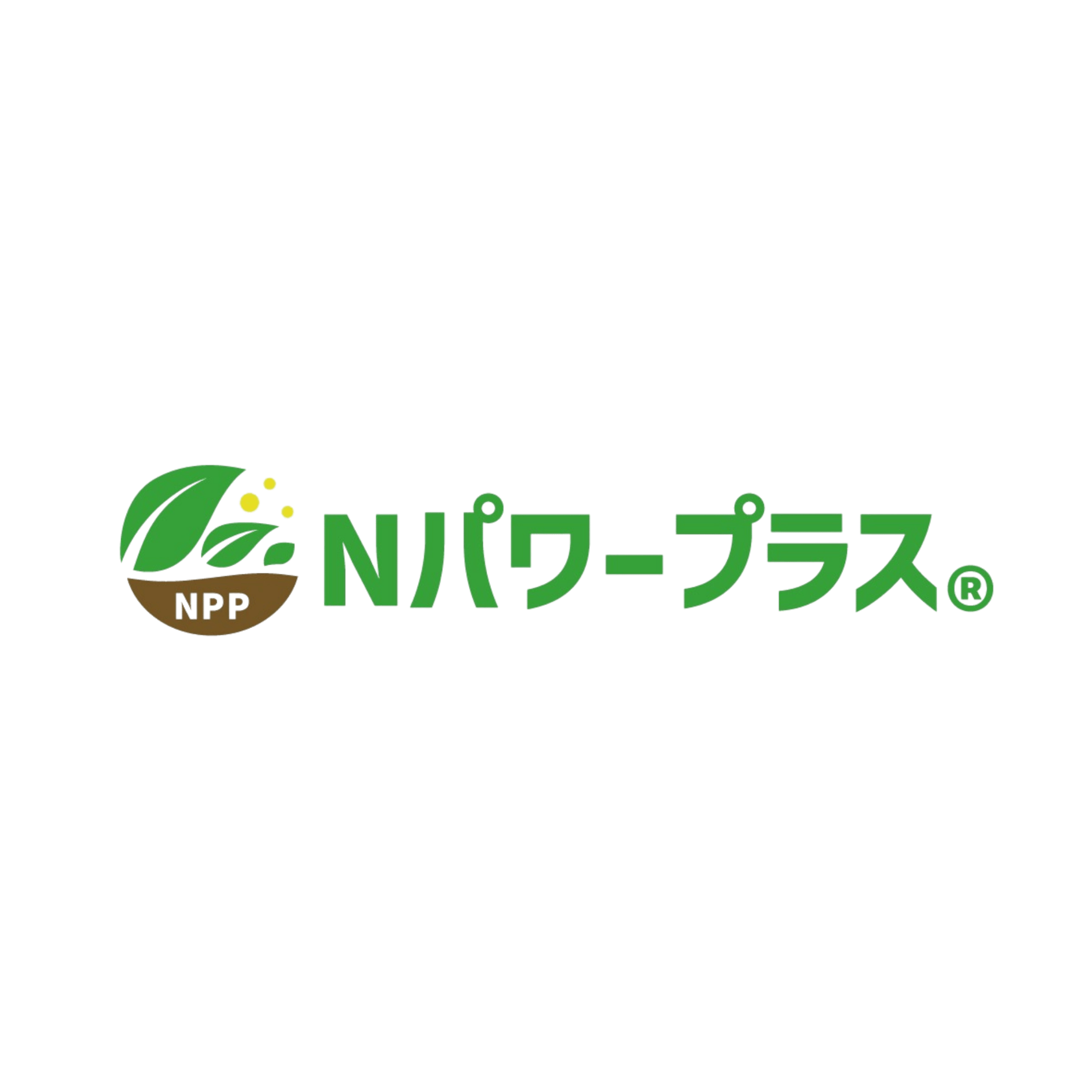 Nパワープラス®　公式通販サイト