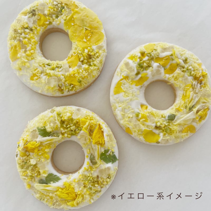 店鋪受取◻︎6月※要日時指定・リース色選択可】basic Aセット | L'tete