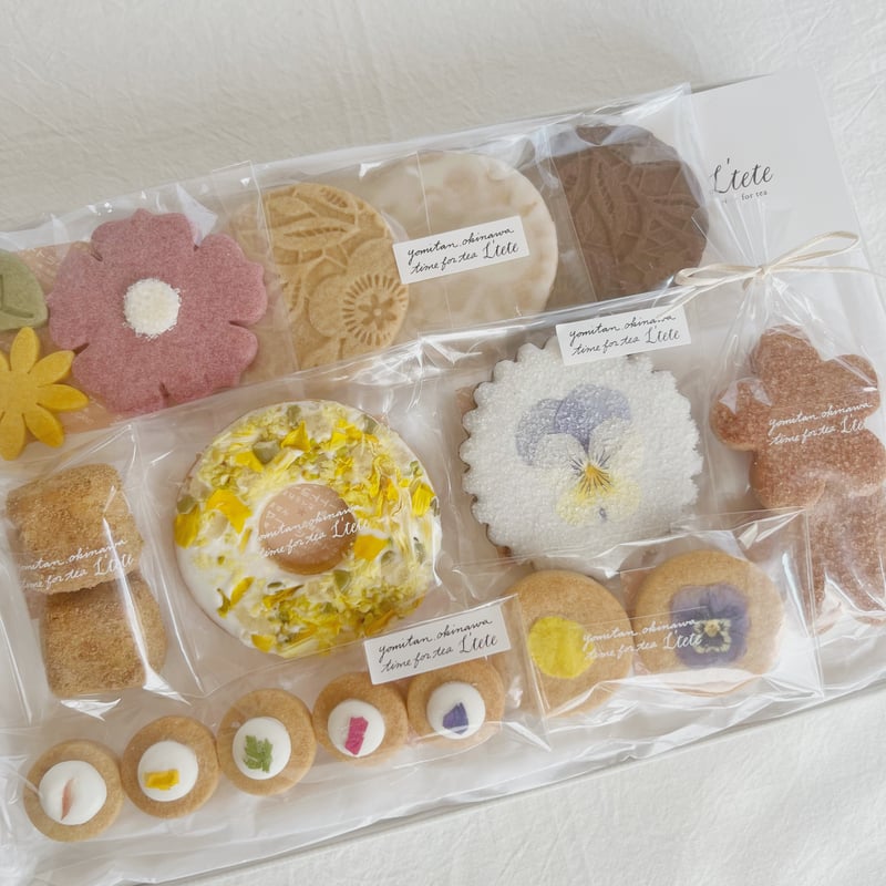 宅配▪️6月発送分※要日時指定・リース色選択可】basic Bセット | L'tete