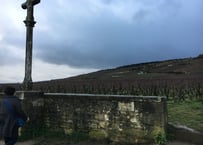 ワイン教室　2023年10月21日（土）「ワインの産地・フランス編」