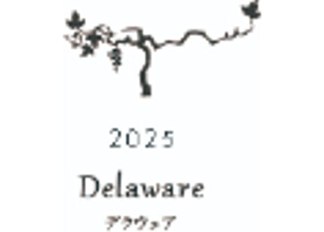 KELOS デラウェア2025