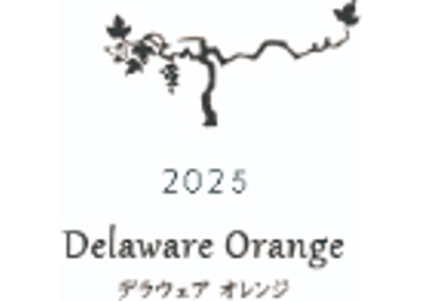KELOSデラウェア オレンジ2025