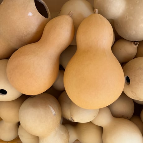 YORO GOURD FACTORY