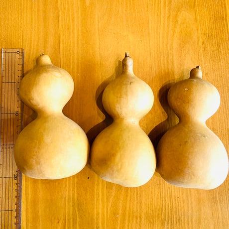 YORO GOURD FACTORY