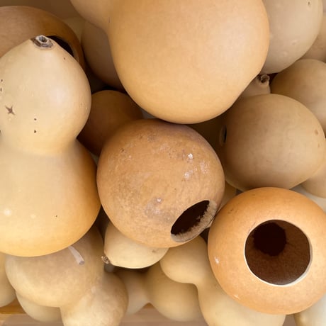 YORO GOURD FACTORY