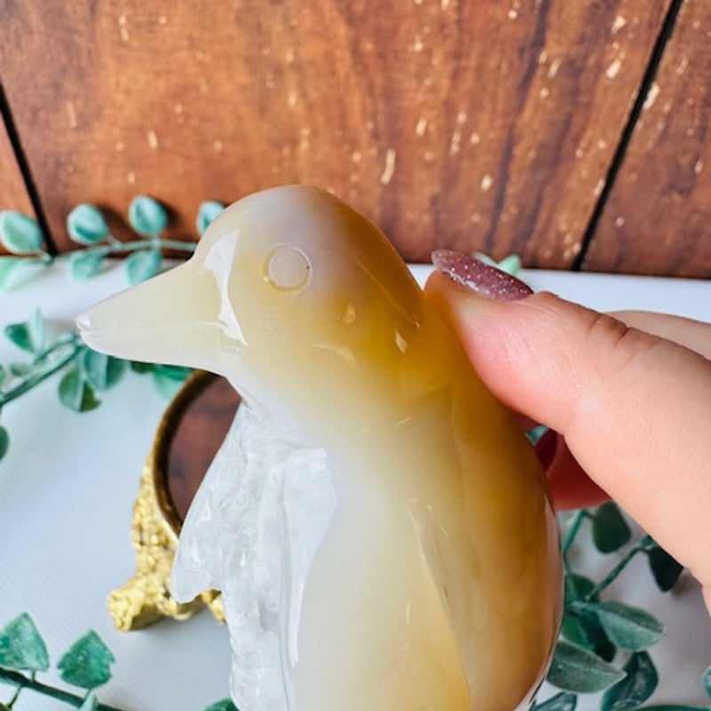 アゲートのペンギン | 天然石と雑貨のお店 Angel's voice