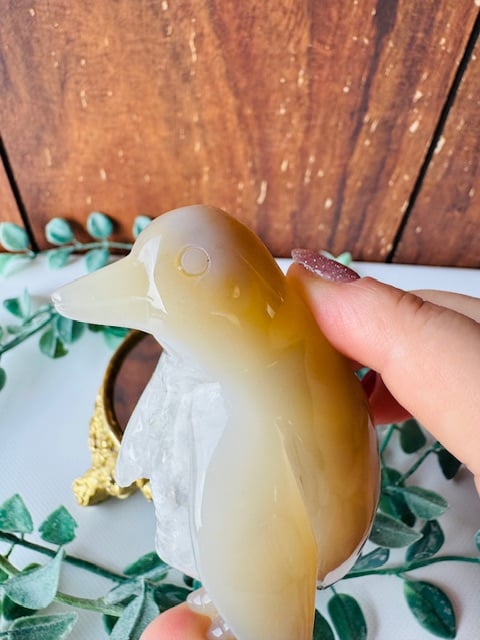 アゲートのペンギン | 天然石と雑貨のお店 Angel's voice