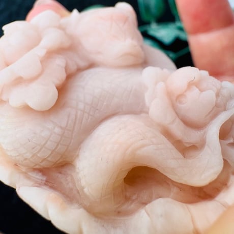 【アラシャンの赤ちゃん龍A】🐉眠る龍が幸運を運ぶ✨