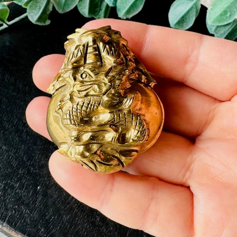 発送8/20以降龍亀ロングイ背中に蛇ジャスパー