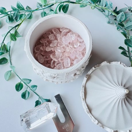 浄化セット | STORES