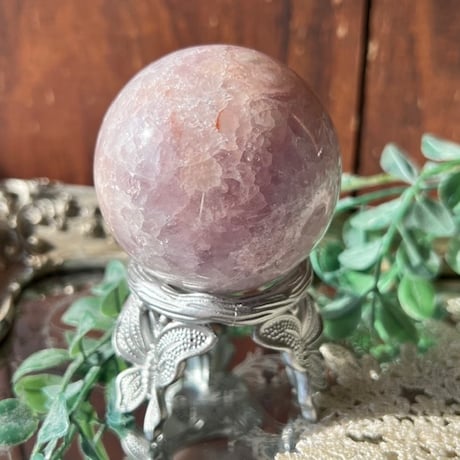 STORES スフィアの検索結果