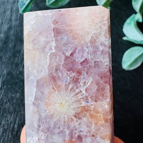 桜瑪瑙☆笑口大幅セール！