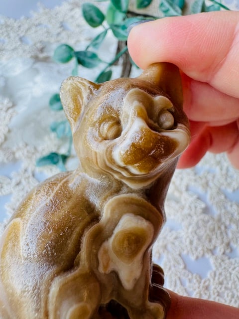 チョコレート カルサイト レディース ボディ チョコレート カルサイト レディース ボディ 南蛮菓 Bungo（ぶんご） 6