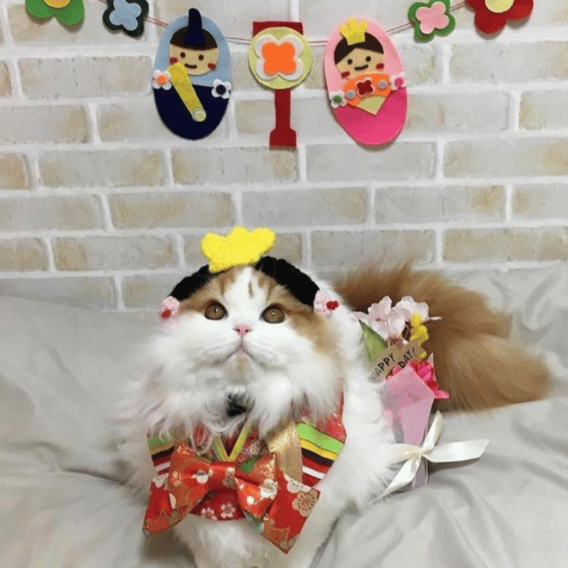 お雛様 | にゃんこの毛糸屋さん