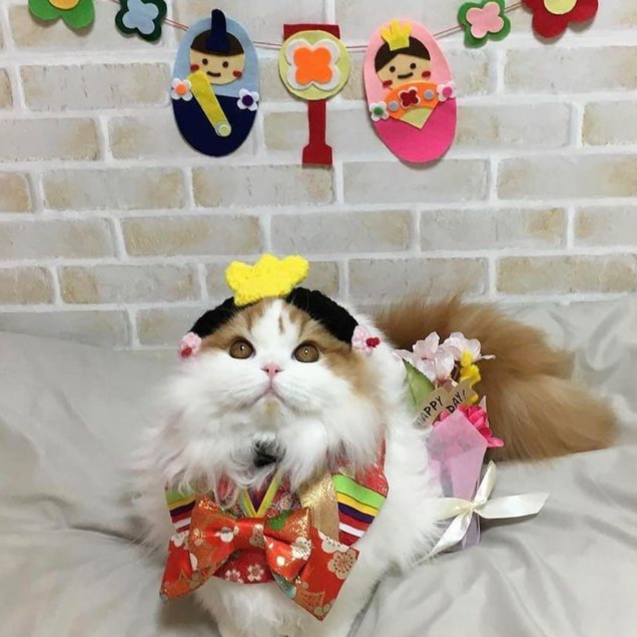お雛様 | にゃんこの毛糸屋さん