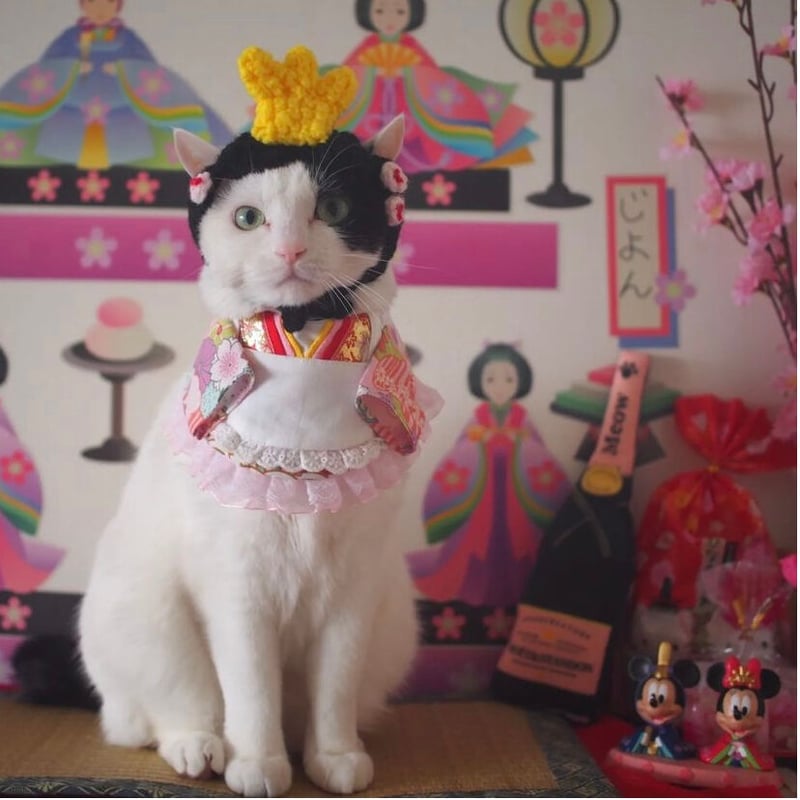 お雛様 | にゃんこの毛糸屋さん