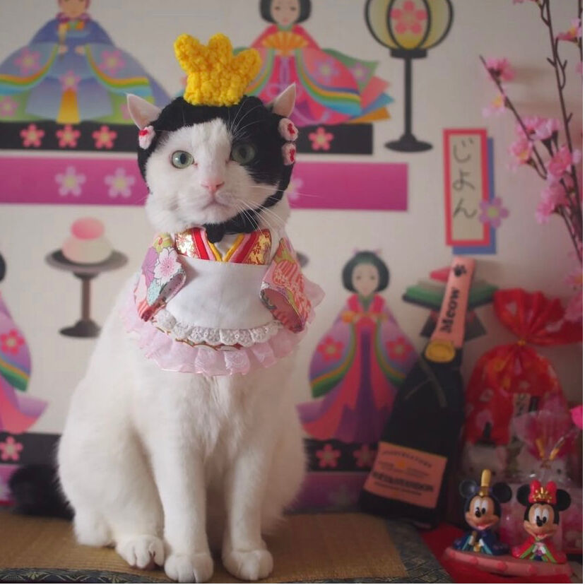 お雛様 | にゃんこの毛糸屋さん