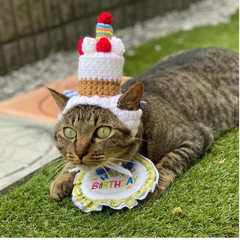 ホールケーキ | にゃんこの毛糸屋さん