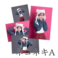 【ブロマイド】ネコネキ-A/B