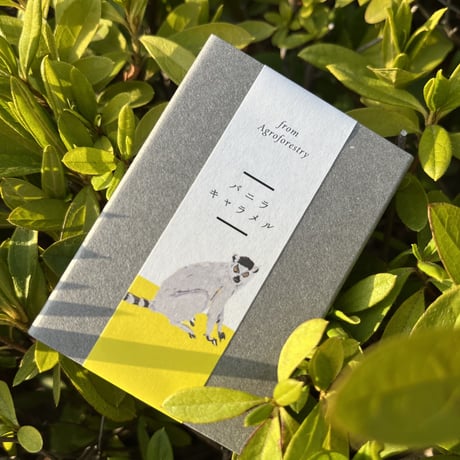 バニラ生キャラメル