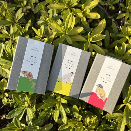 バニラ生キャラメル