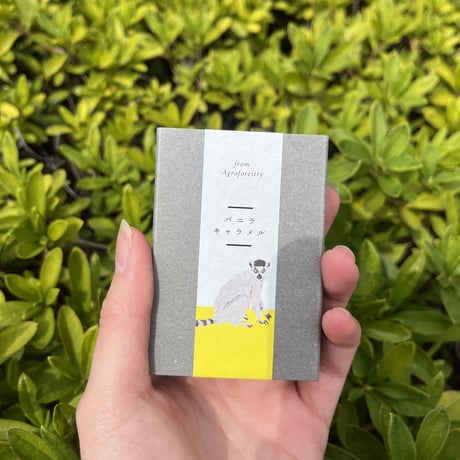 バニラ生キャラメル