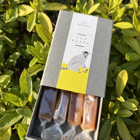 バニラ生キャラメル